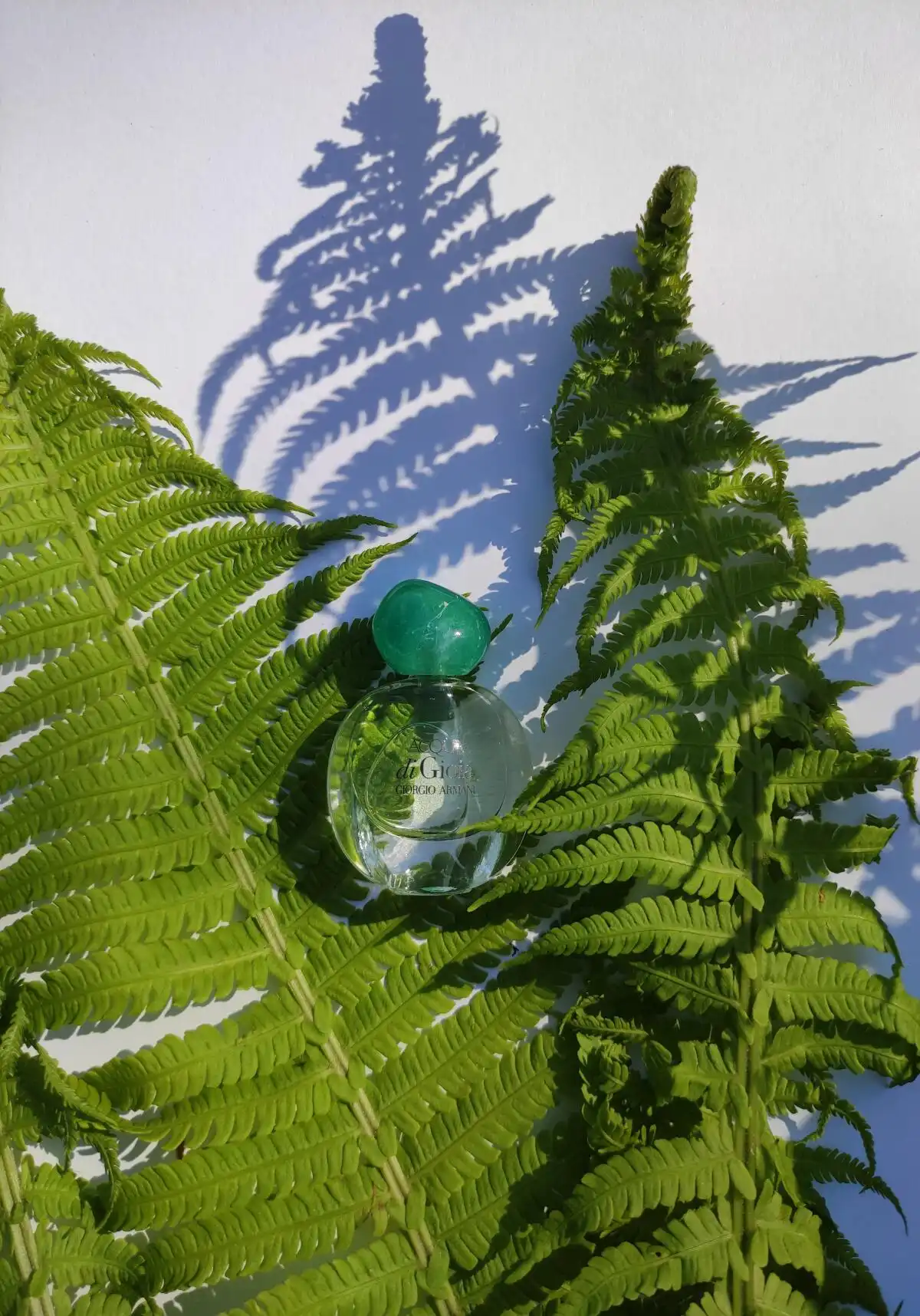 Độ lưu hương Nước Hoa Giorgio Armani Acqua Di Gioia