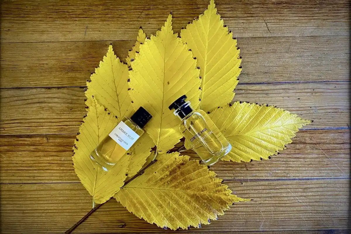 Review Nước Hoa Louis Vuitton Contre Moi EDP