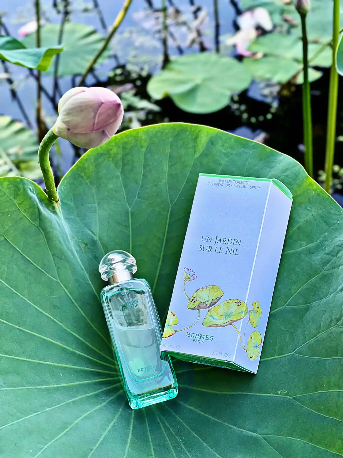 Độ tỏa hương nước hoa Hermes Un Jardin Sur Le Nil