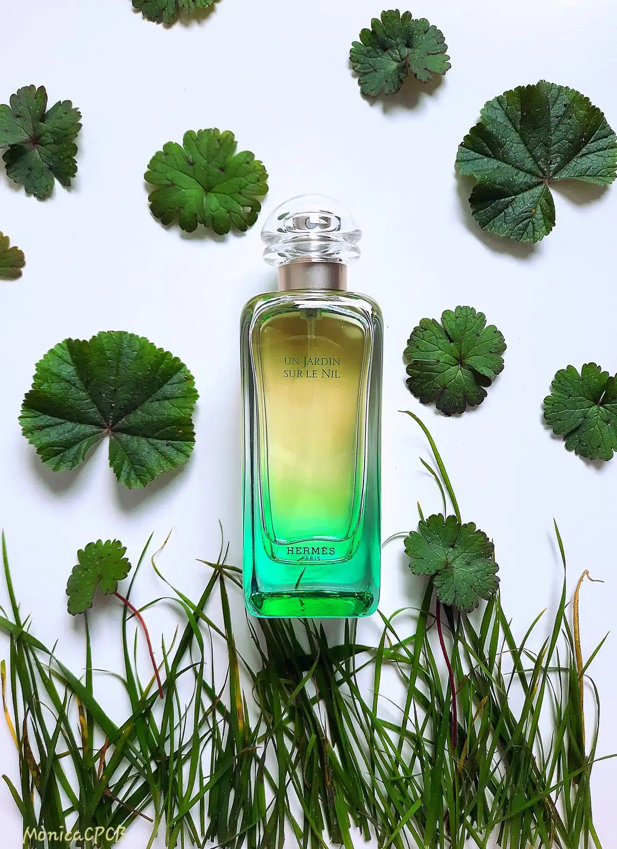 Tính linh hoạt nước hoa Hermes Un Jardin Sur Le Nil