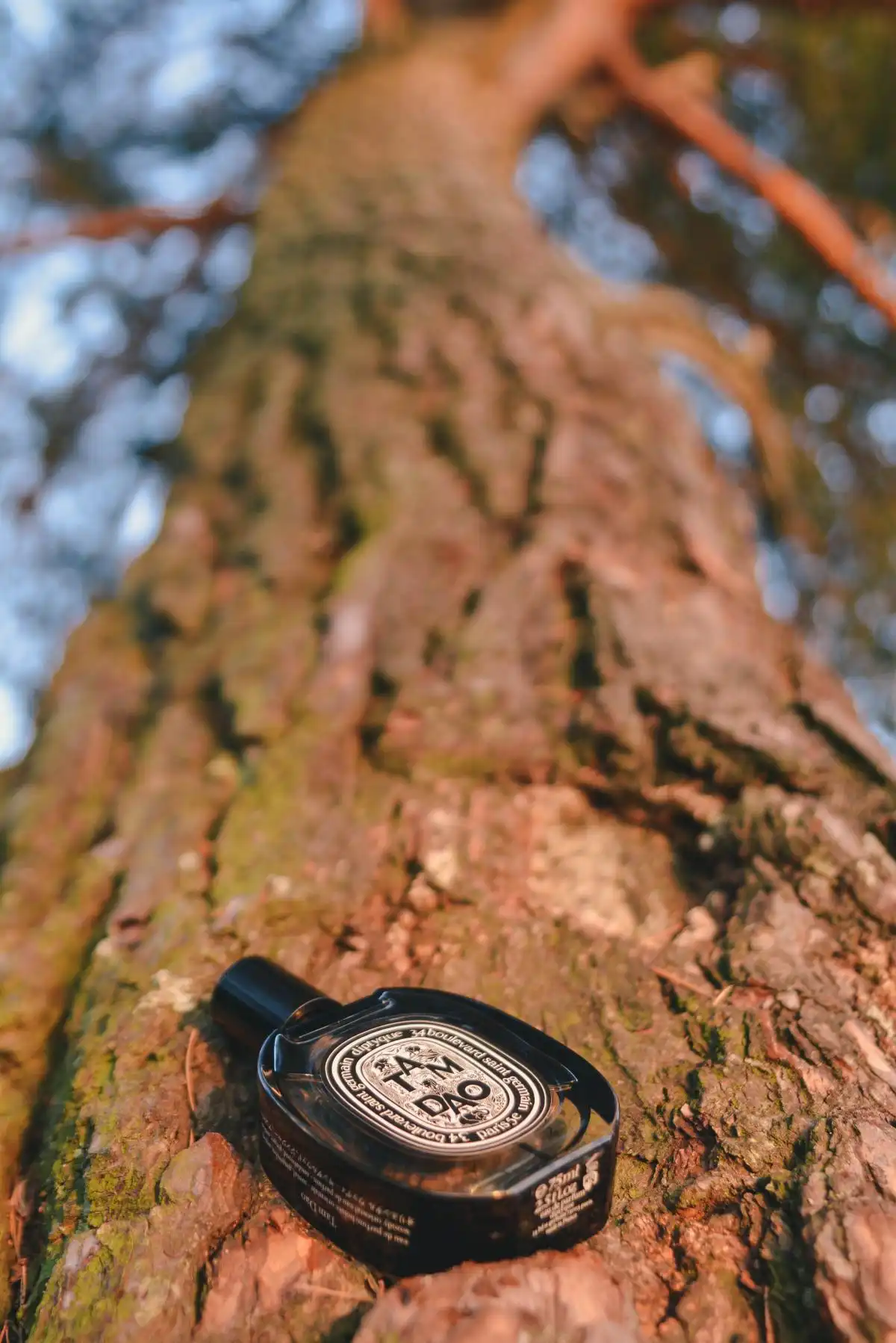 Độ lưu hương nước hoa Diptyque Paris Tam Dao