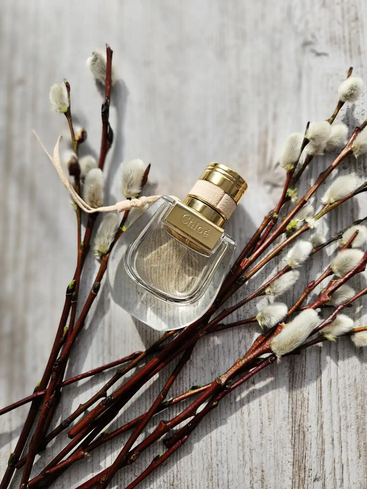 Độ tỏa hương Chloe Nomade EDT