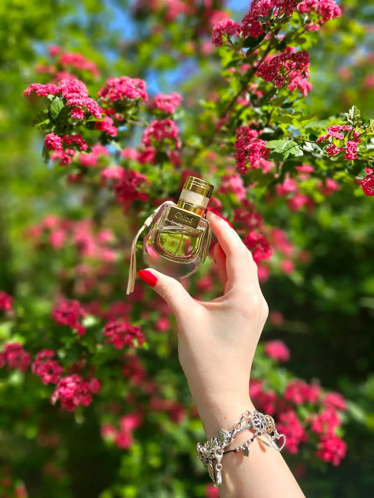 Tính linh hoạt Chloe Nomade EDT
