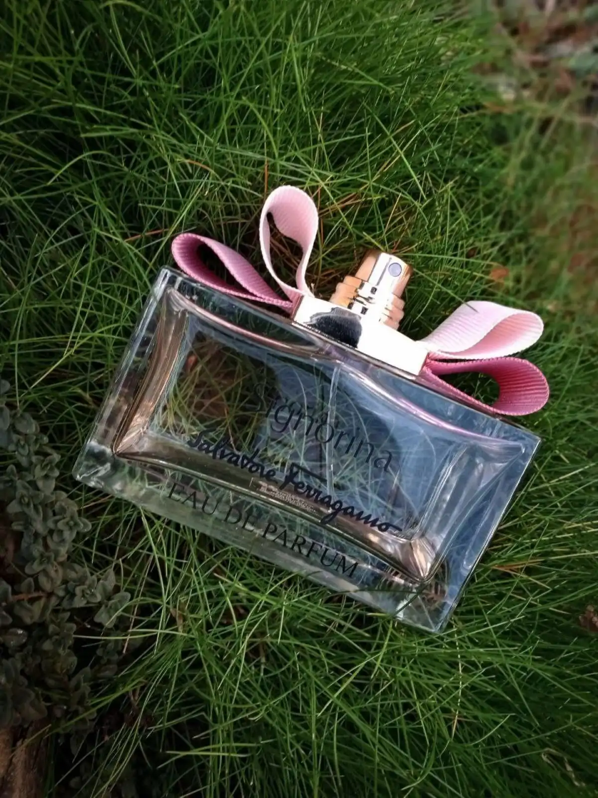 Độ lưu hương và tỏa hương Nước Hoa Signorina