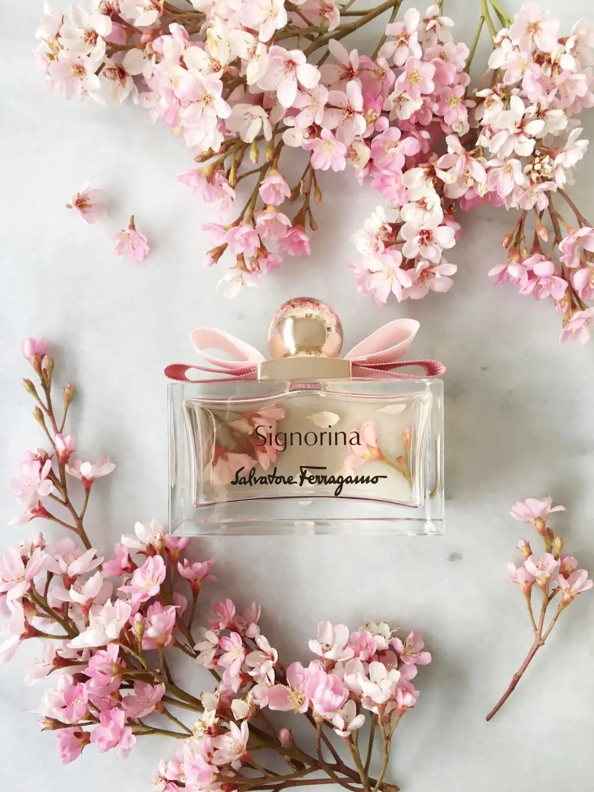 Tính linh hoạt Nước Hoa Signorina