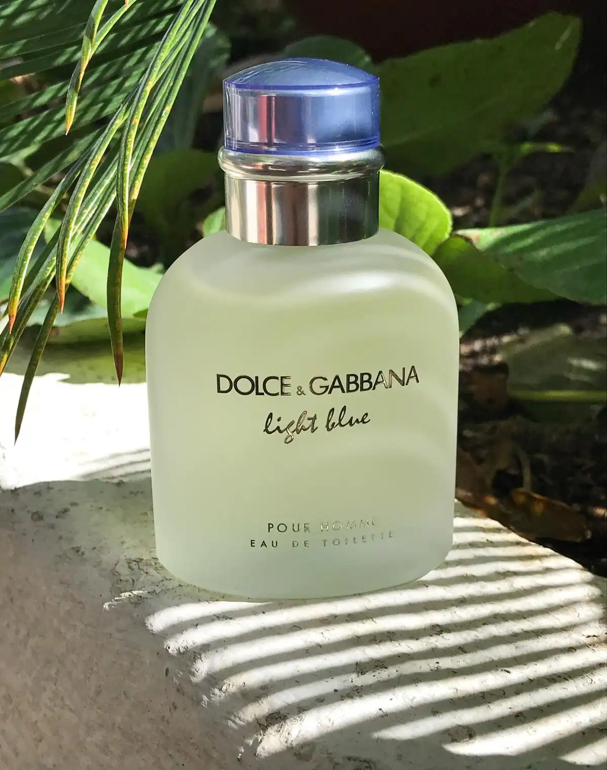 Độ tỏa hương nước hoa Dolce & Gabbana Light Blue
