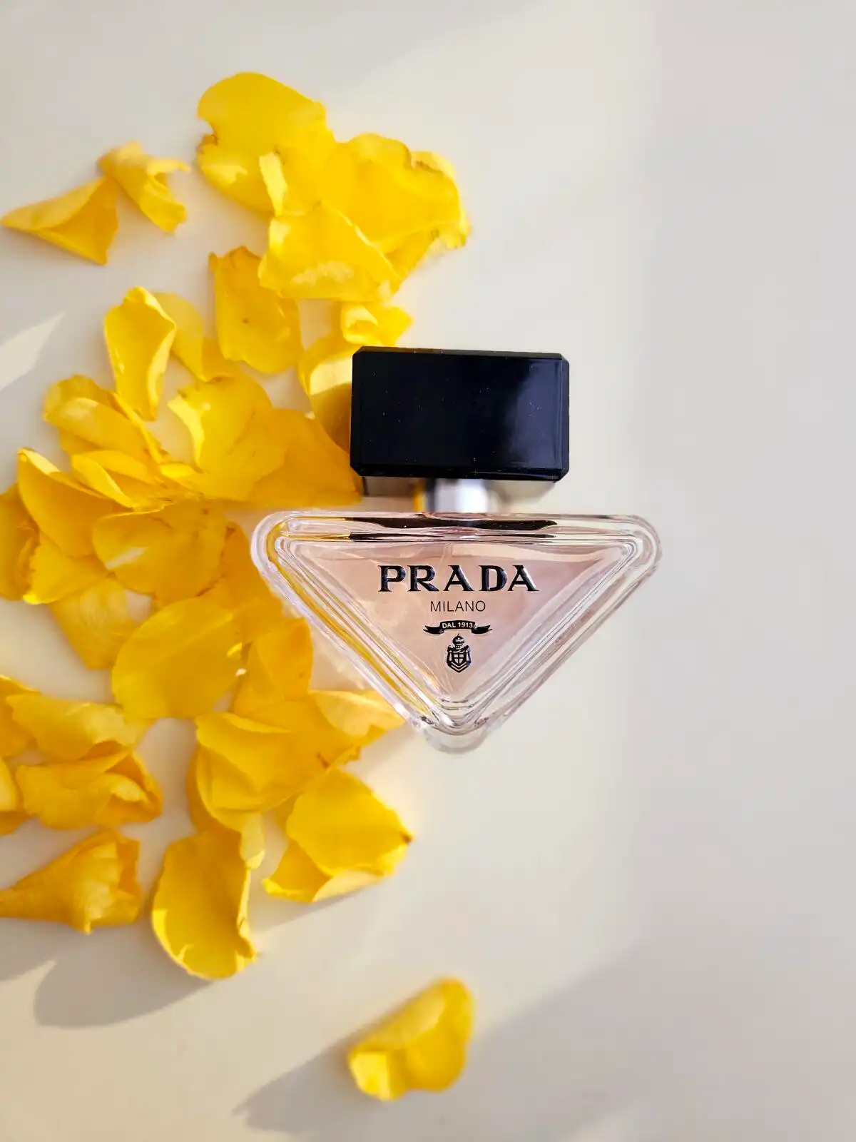 Tính linh hoạt Prada Paradoxe