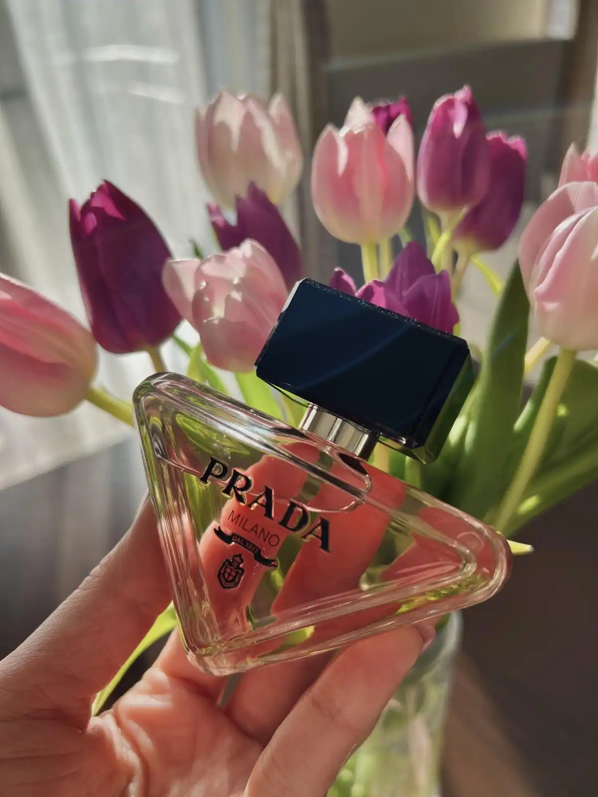 Bao bì Prada Paradoxe