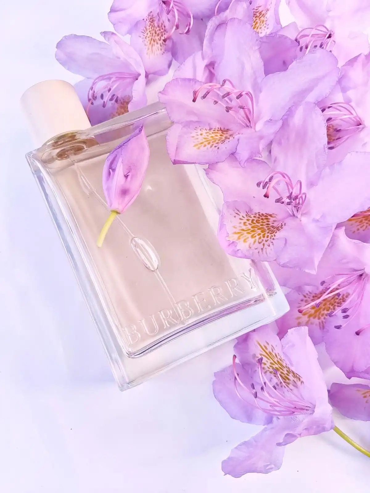 Độ tỏa hương Burberry Her