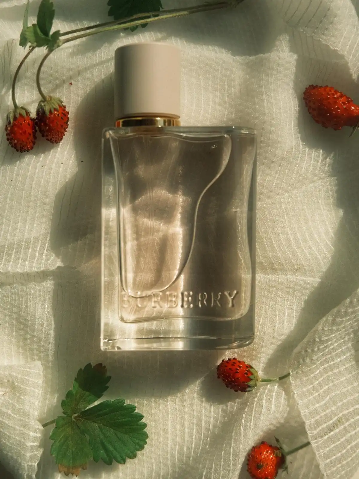 Độ lưu hương Burberry Her