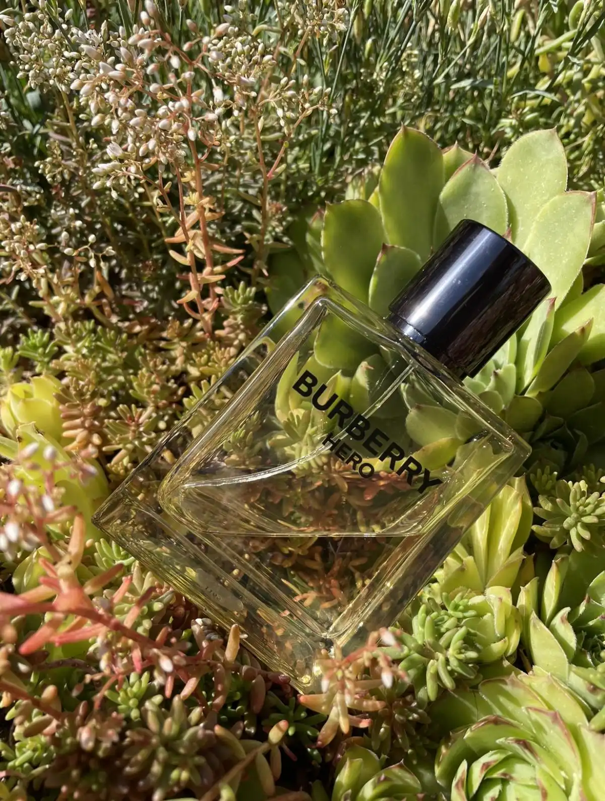 Độ lưu hương Burberry Hero EDT
