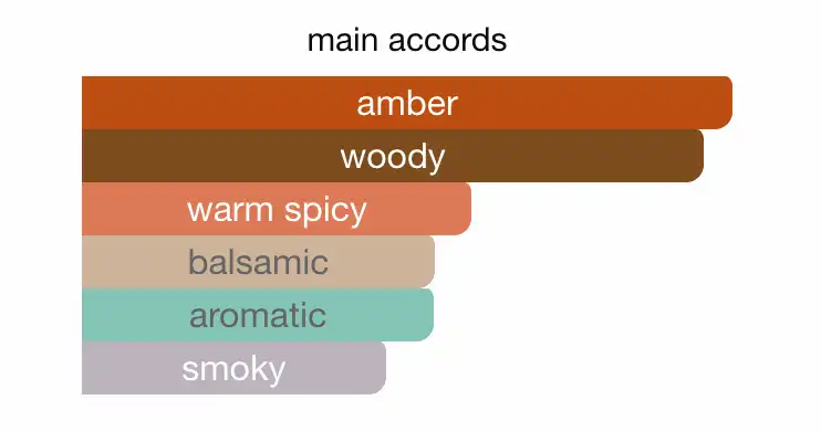 Mùi hương nước hoa Burberry Hero EDP