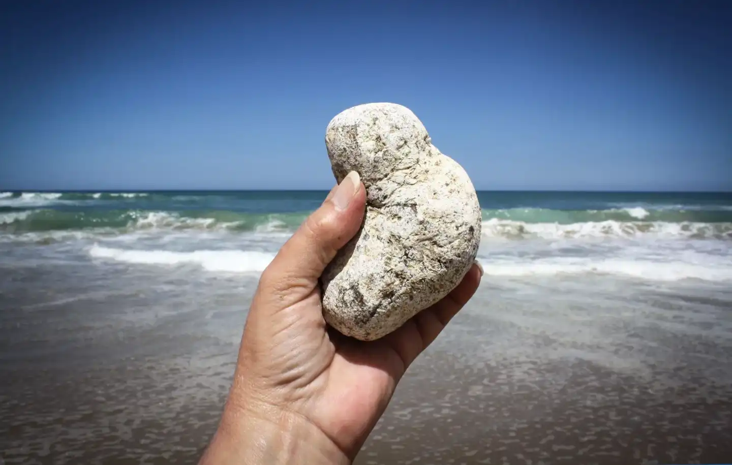 Chức năng của Ambergris