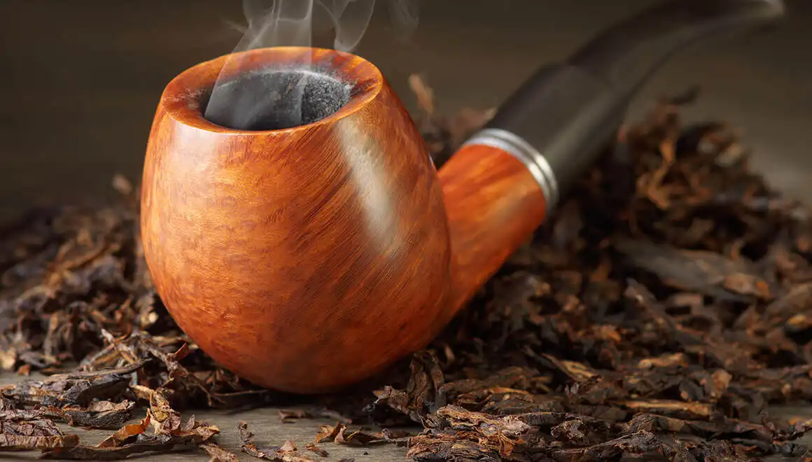 Thuốc Lá (Tobacco) Có Mùi Gì Trong Nước Hoa?