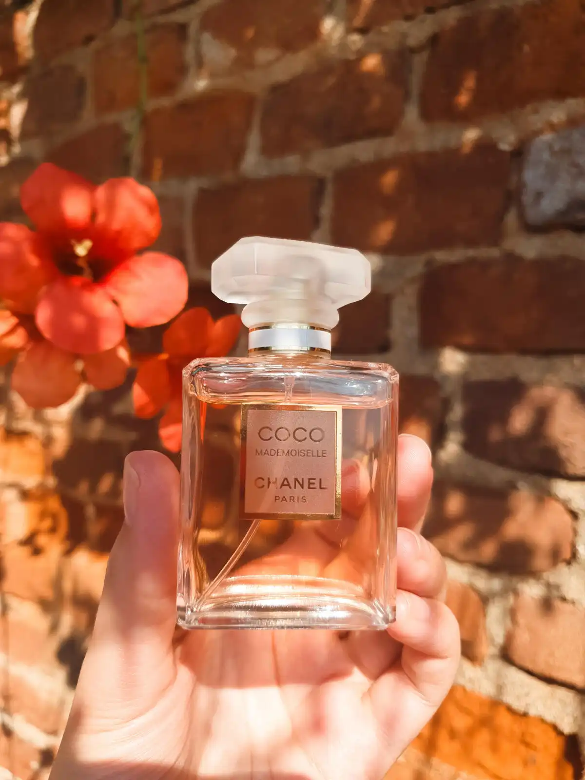 Độ tỏa hương Chanel Coco Mademoiselle