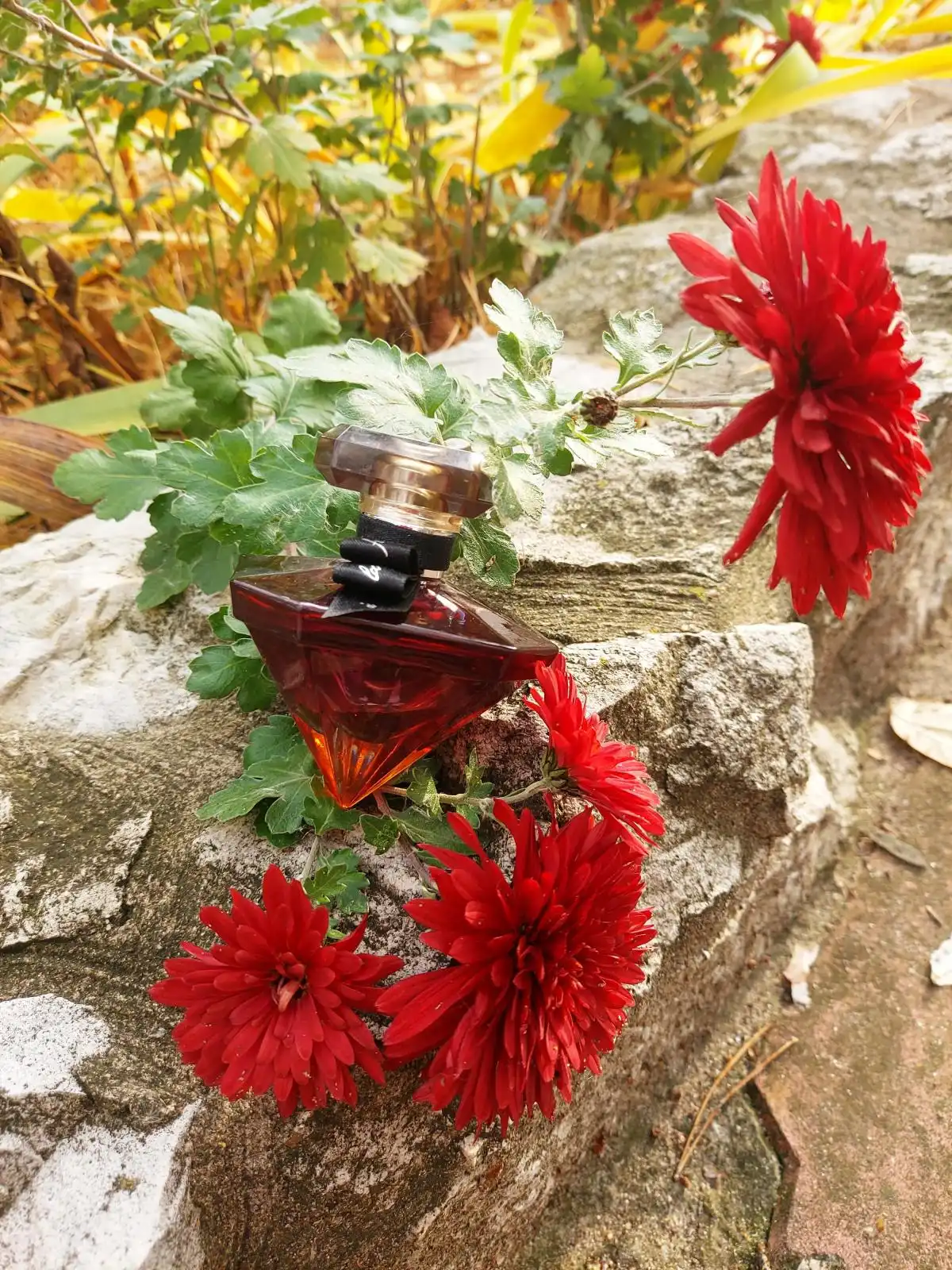 Độ tỏa hương Nước Hoa Lancome Kim Cương Đỏ La Nuit Tresor A La Folie