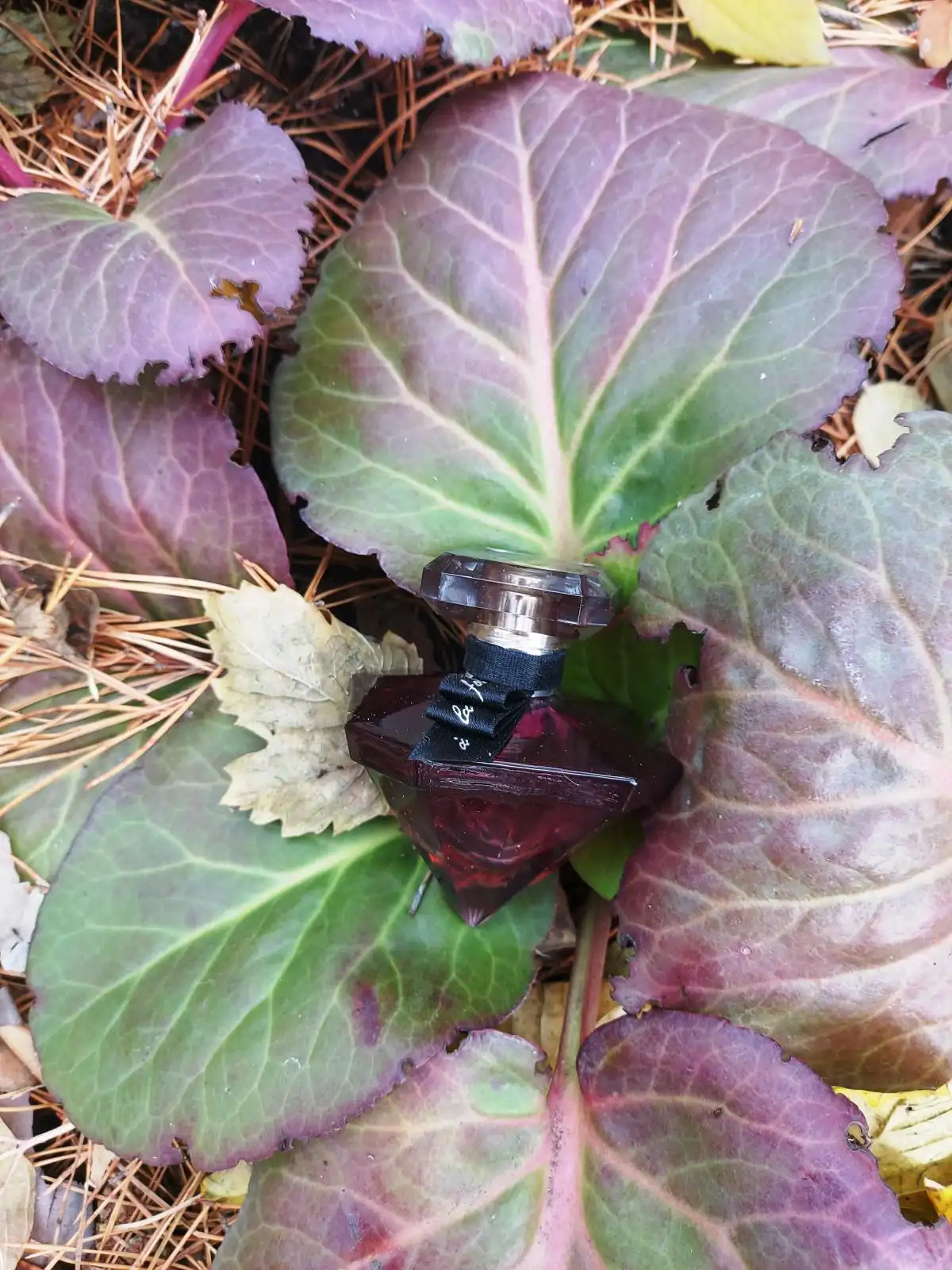 Tính linh hoạt Nước Hoa Lancome Kim Cương Đỏ La Nuit Tresor A La Folie