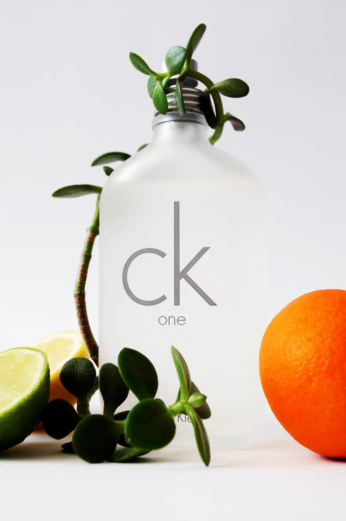 Độ lưu hương CK One By Calvin Klein