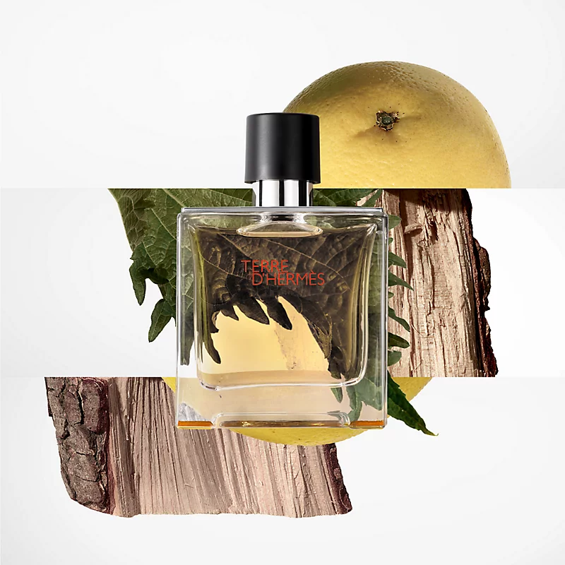 Hình 2 - Hermes Terre d’Hermes Parfum 75ml