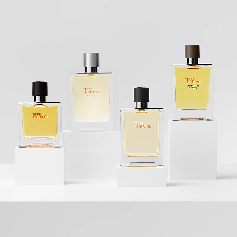 Hình 3 - Hermes Terre d’Hermes Parfum 75ml