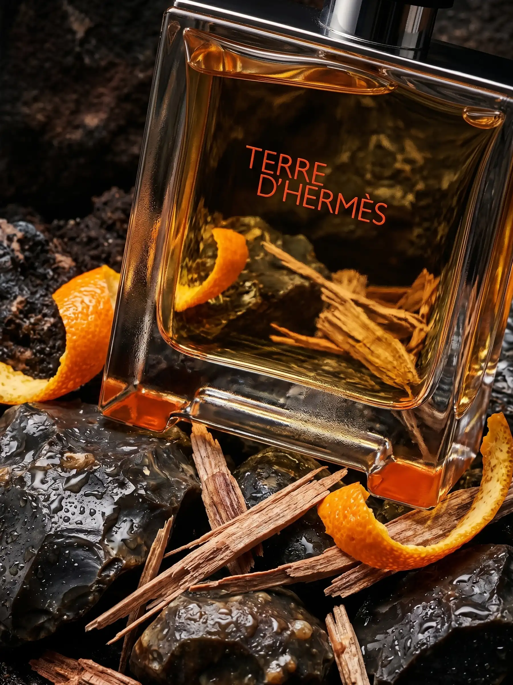 Hình 7 - Hermes Terre d’Hermes Parfum 75ml