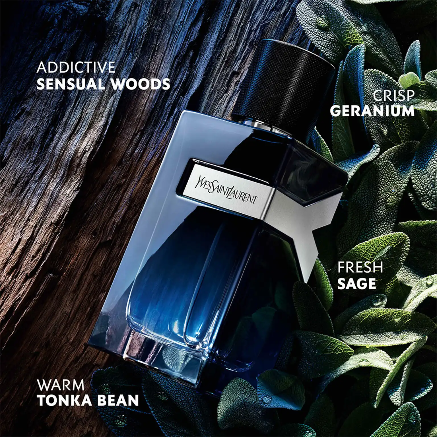 Hình 5 - Yves Saint Laurent Y EDP 100ml