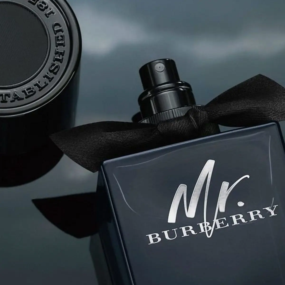 Hình 3 - Mr. Burberry EDP 100ml