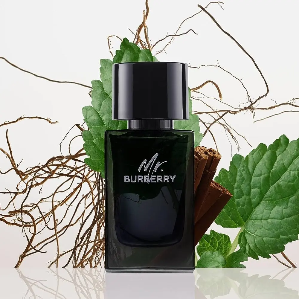 Hình 5 - Mr. Burberry EDP 100ml