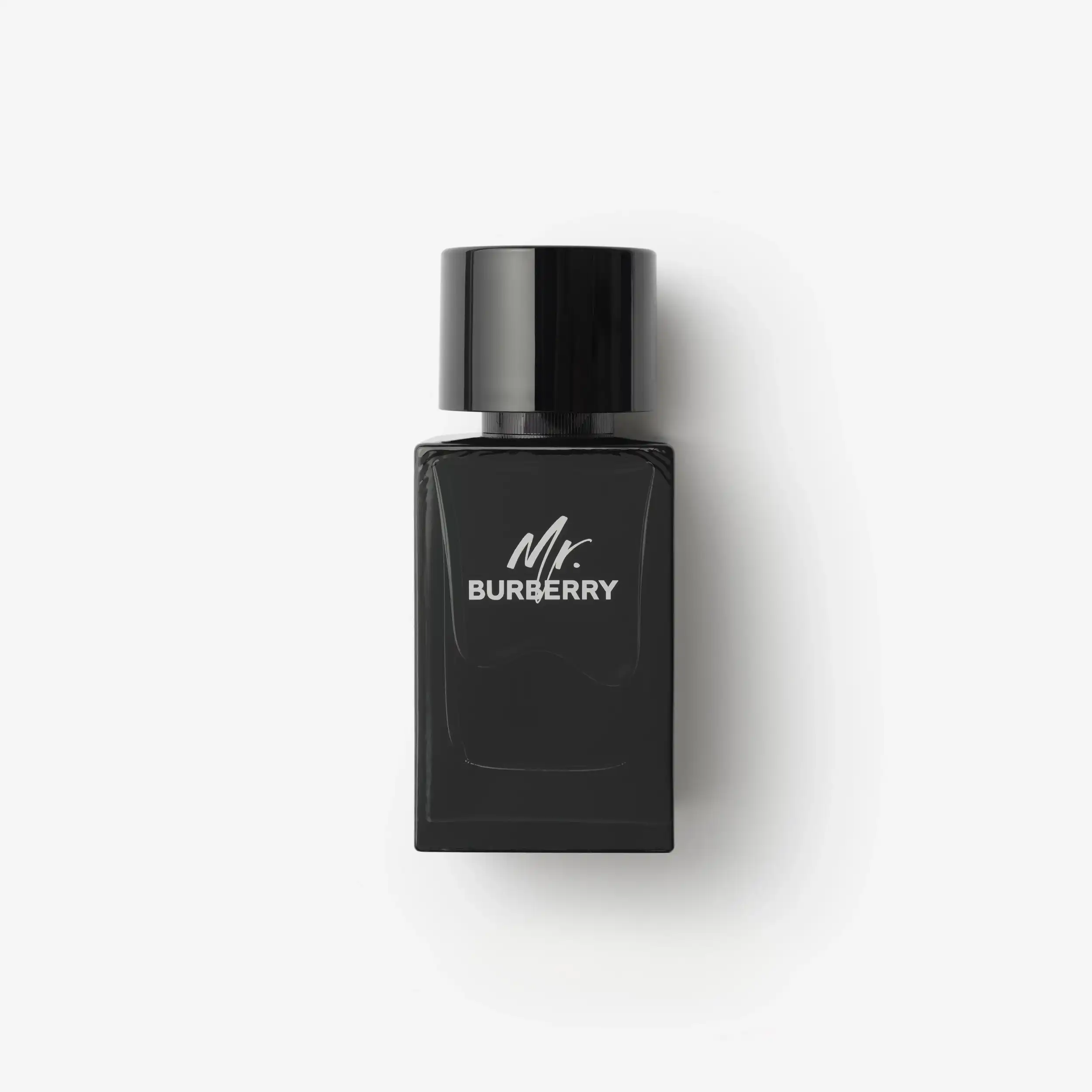 Hình 1 - Mr. Burberry EDP 100ml