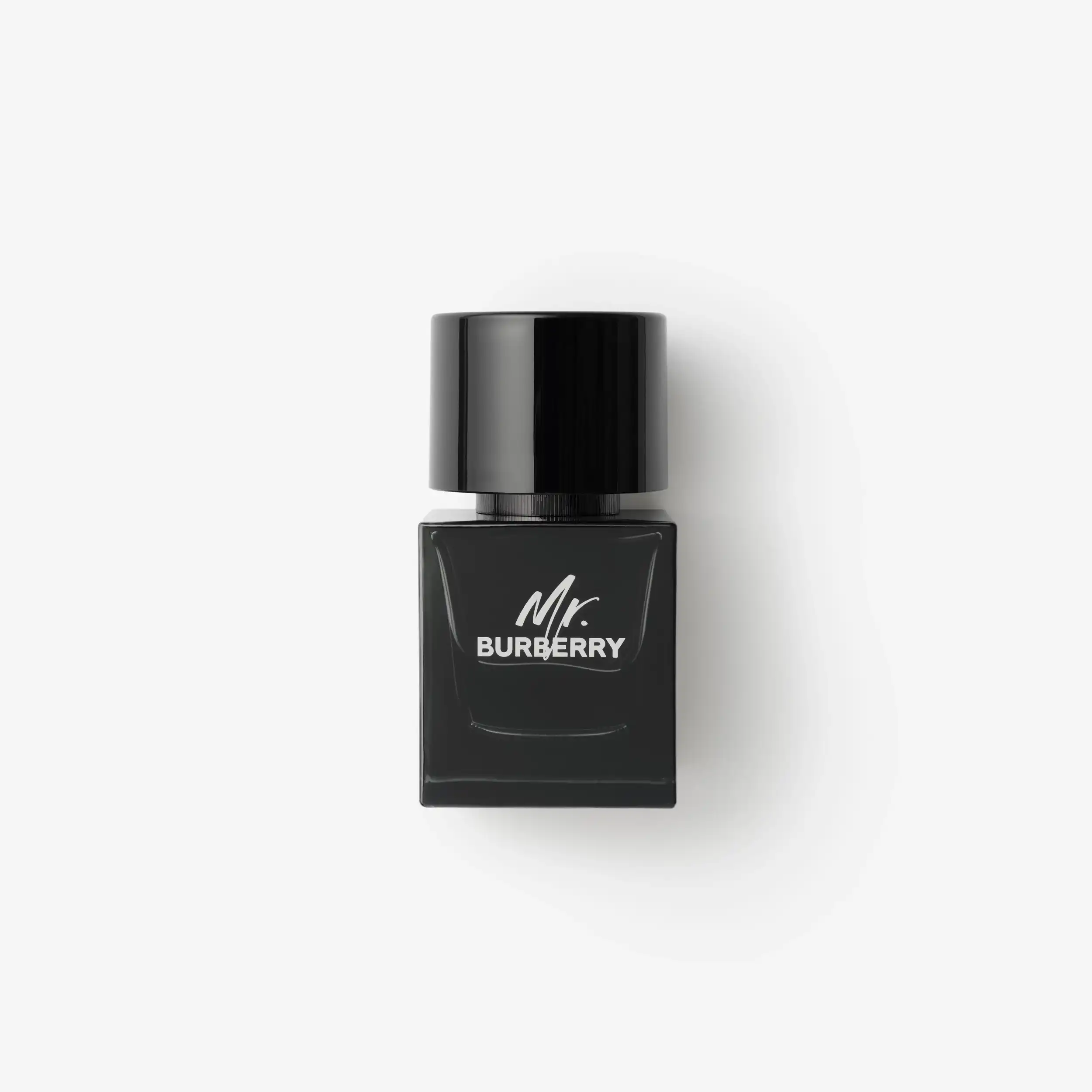 Hình 1 - Mr. Burberry EDP 50ml