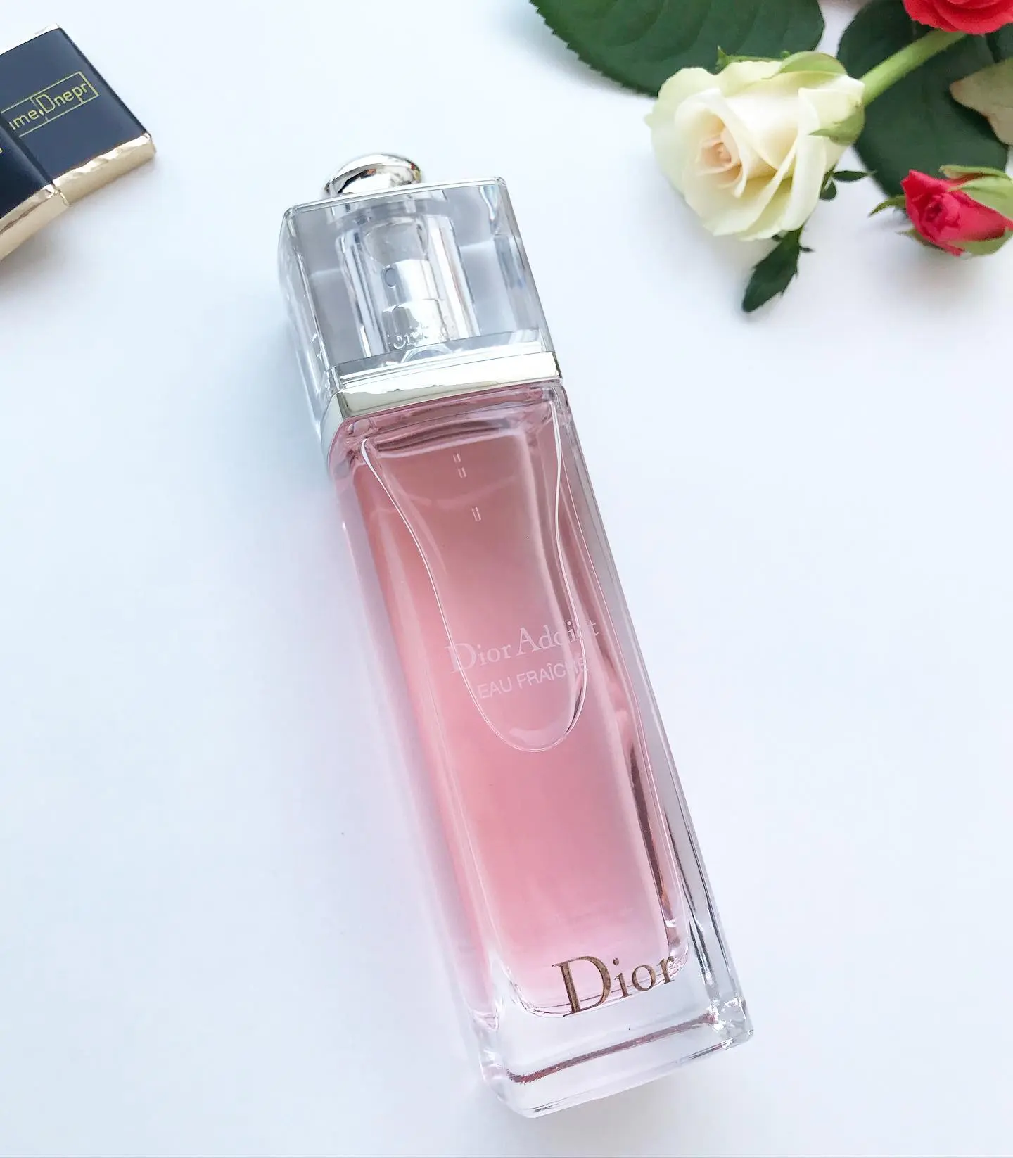 Hình 3 - Dior Addict Eau Fraiche EDT 100ml