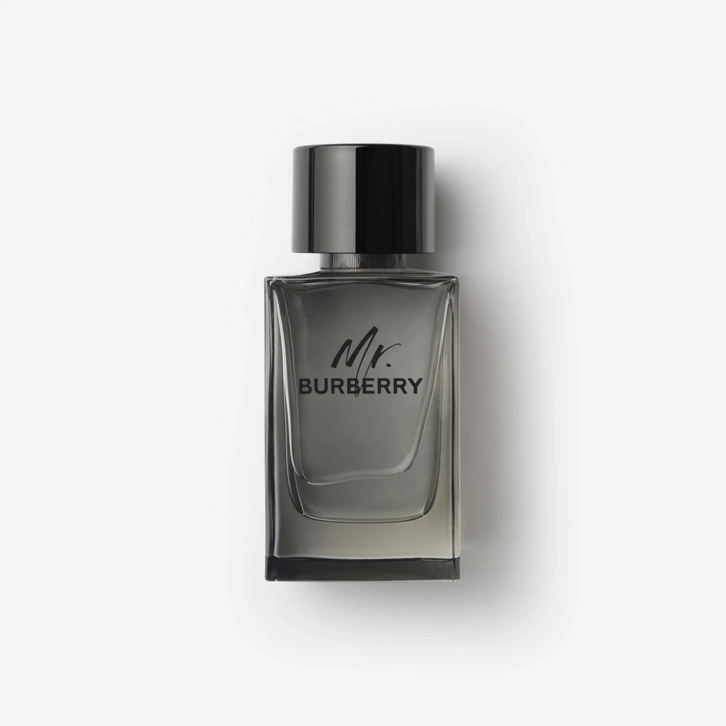 Hình 1 - Mr. Burberry EDT 150ml