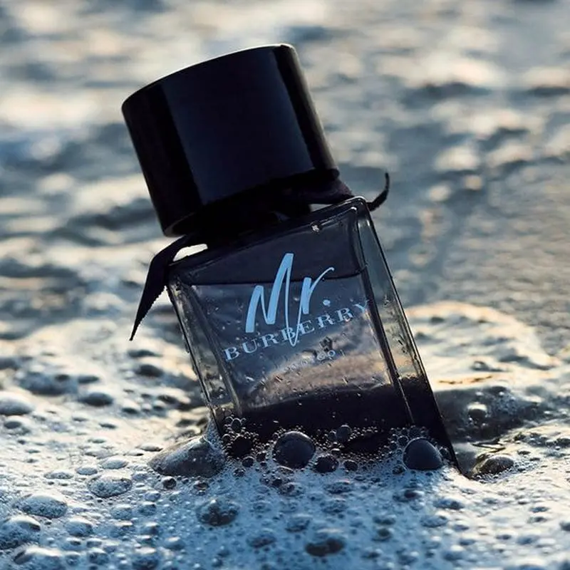 Hình 2 - Mr. Burberry EDT 100ml