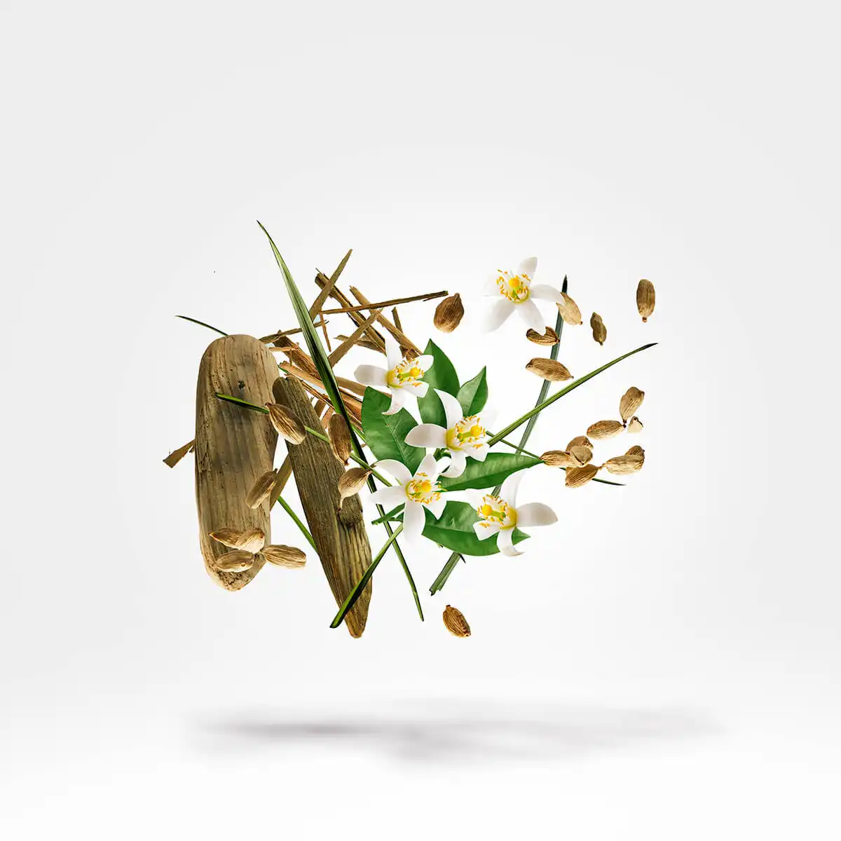 Hình 2 - Xerjoff Nio Parfum 50ml