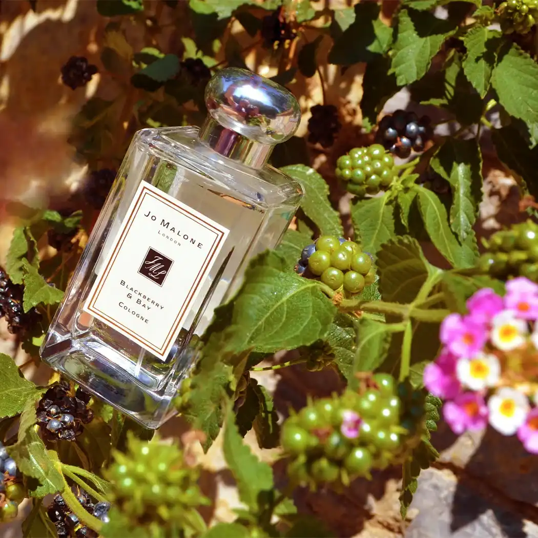 Hình 6 - Jo Malone Blackberry & Bay EDC 100ml
