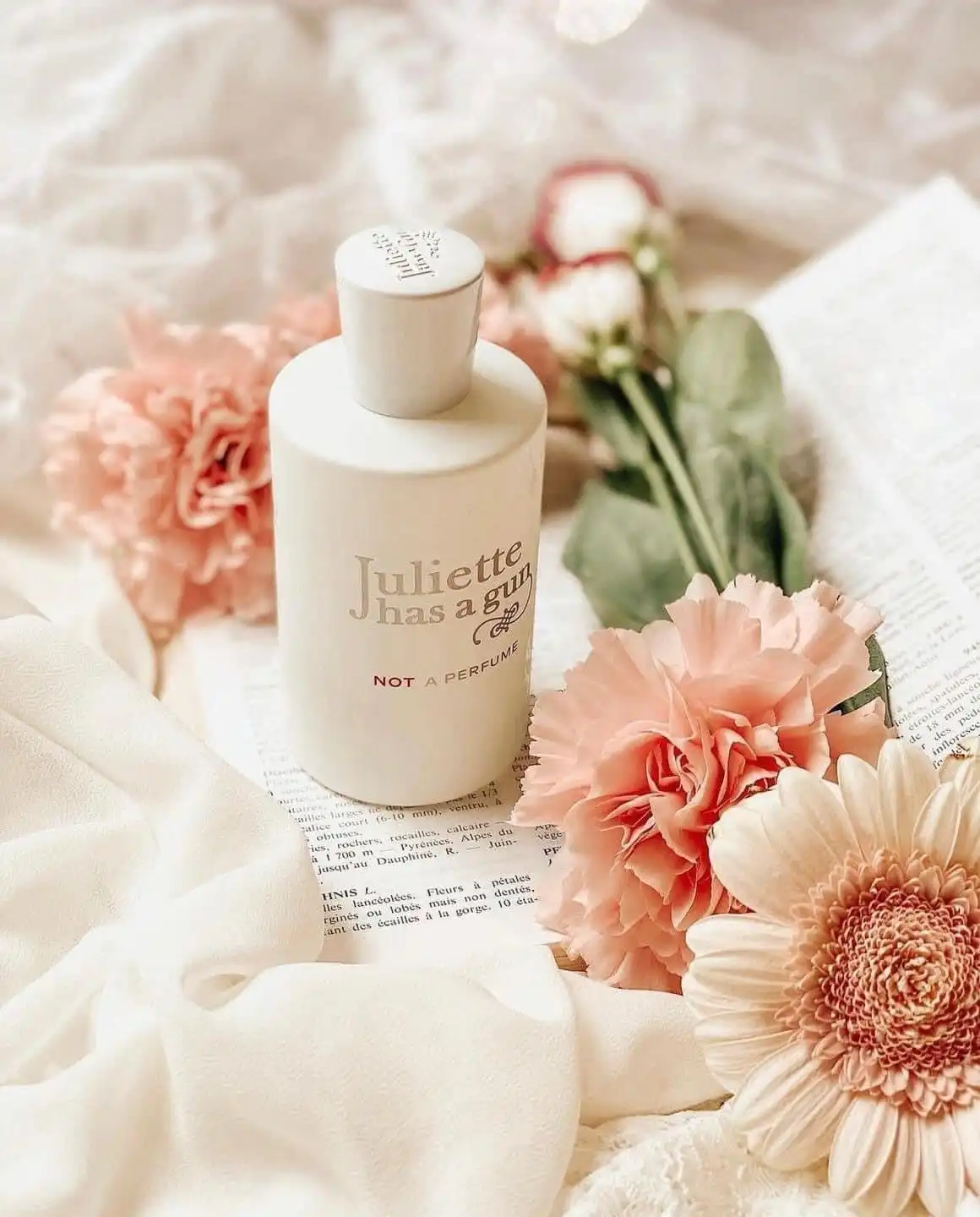 Hình 6 - Juliette Has A Gun Not A Perfume EDP 100ml