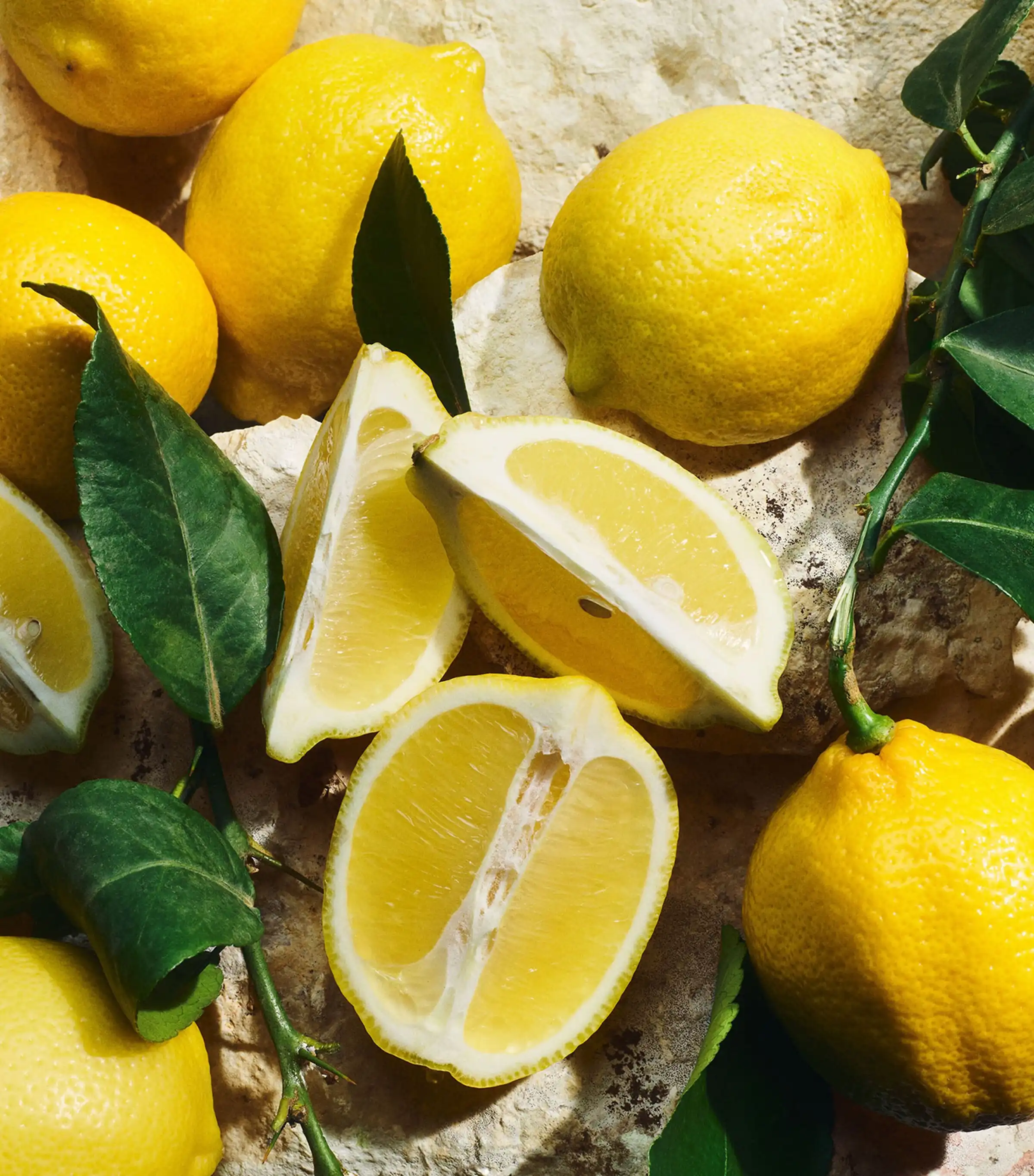 Hình 3 - Dolce & Gabbana Light Blue EDT 100ml