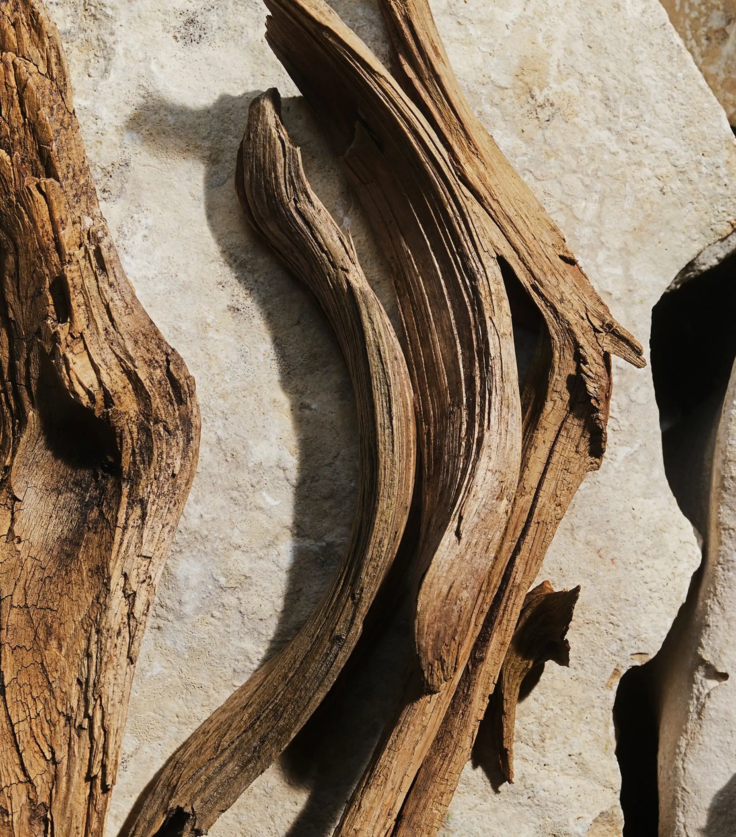 Hình 7 - Dolce & Gabbana Light Blue EDT 100ml