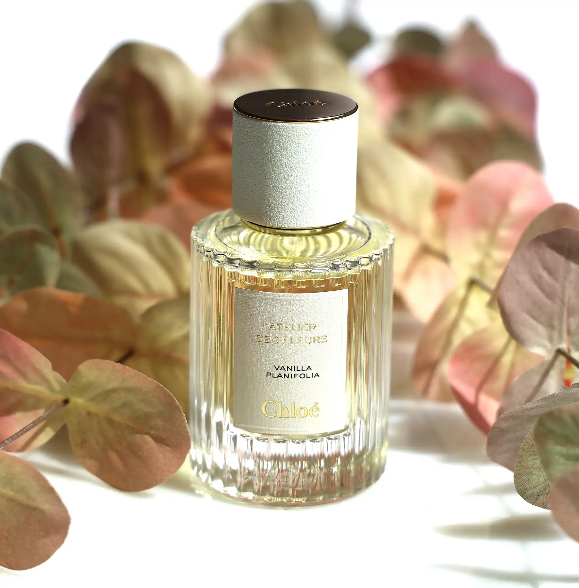 Hình 2 - Chloe Atelier des Fleurs Vanilla Planifolia EDP 50ml