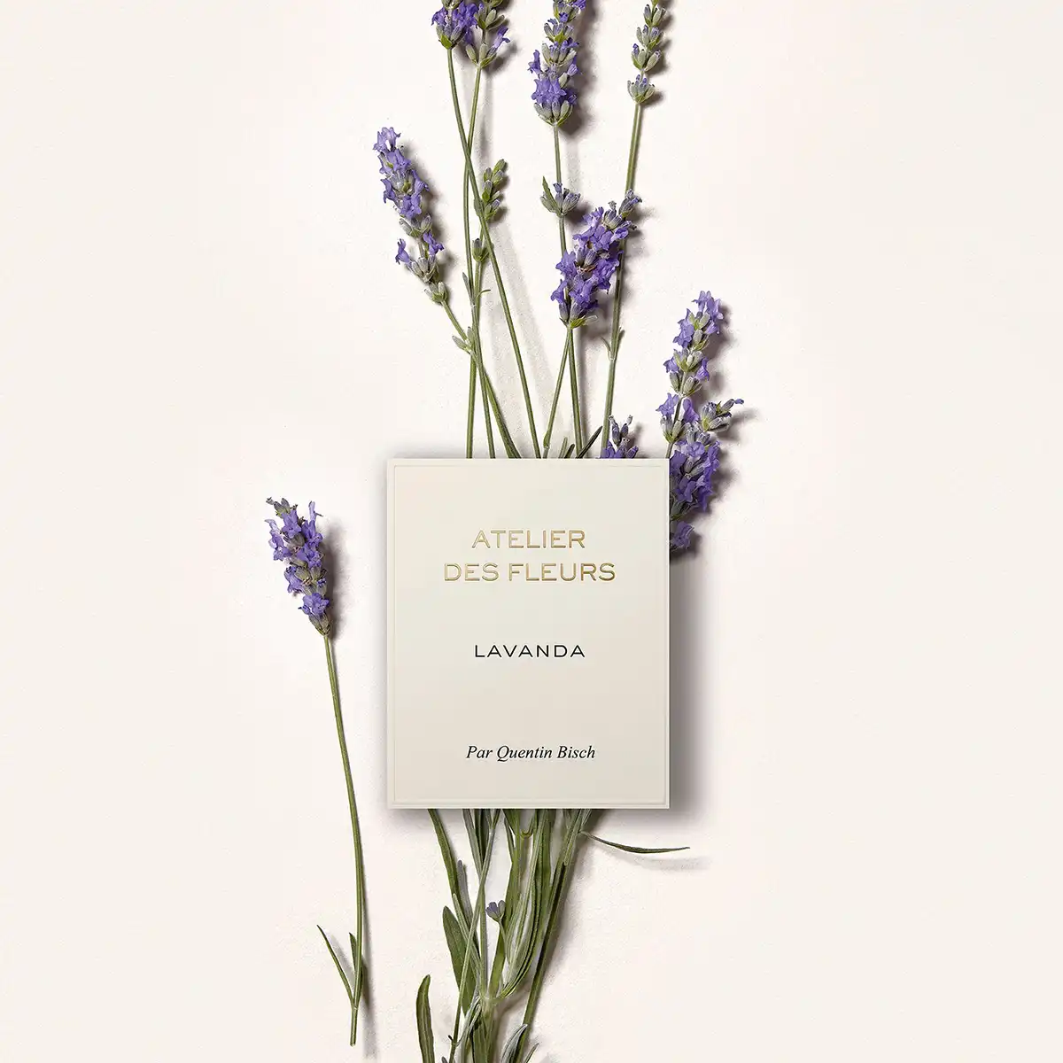 Hình 3 - Chloe Atelier des Fleurs Lavanda EDP 150ml
