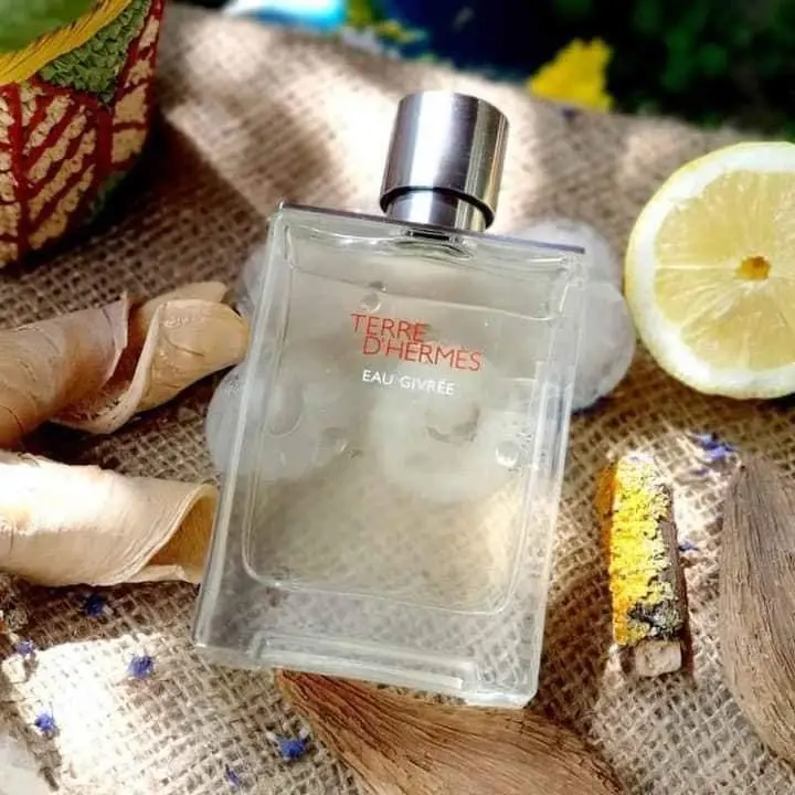 Hình 2 - Hermes Terre d’Hermes Eau Givree EDP 100ml