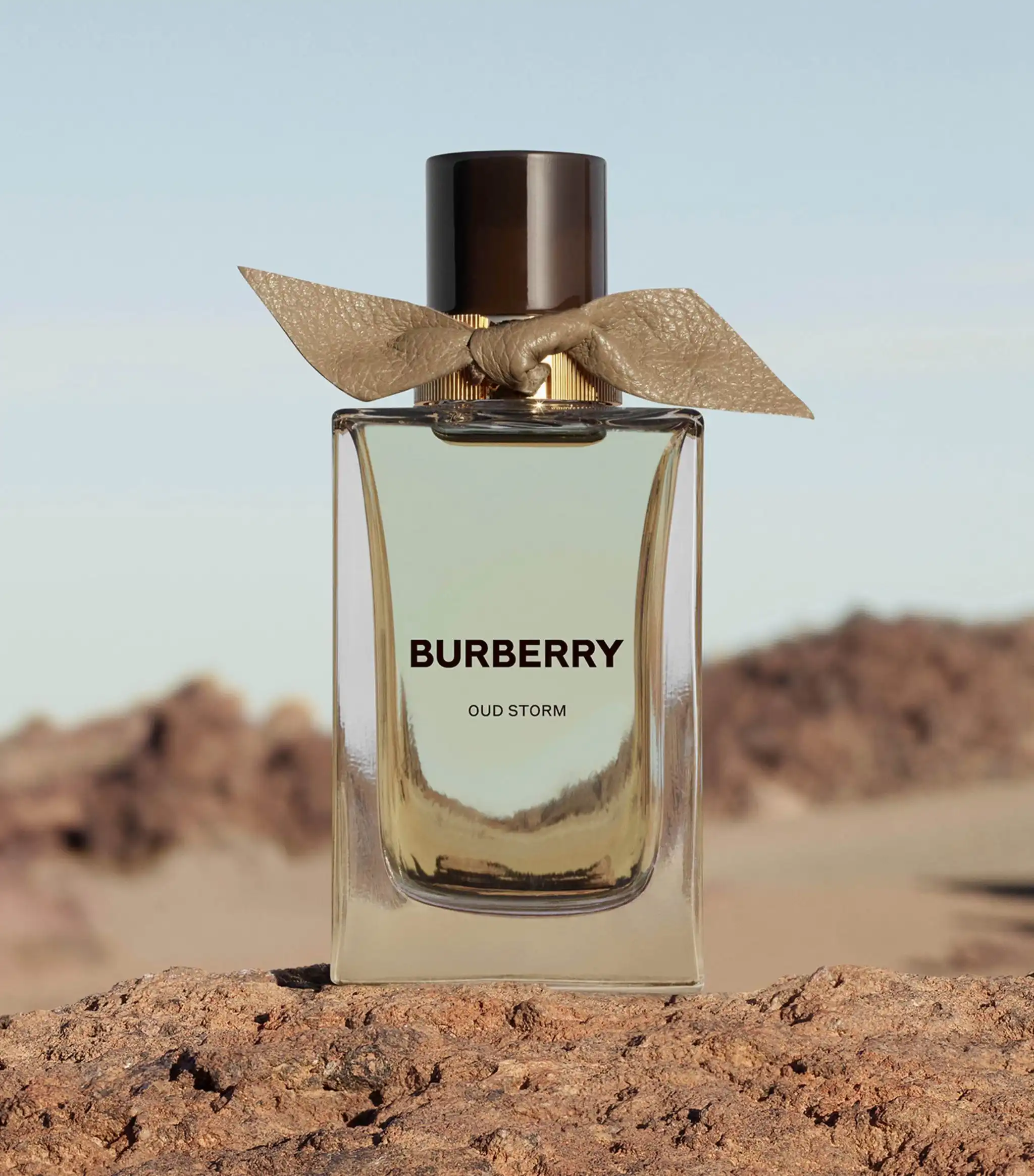 Hình 2 - Burberry Oud Storm (2023) EDP 100ml