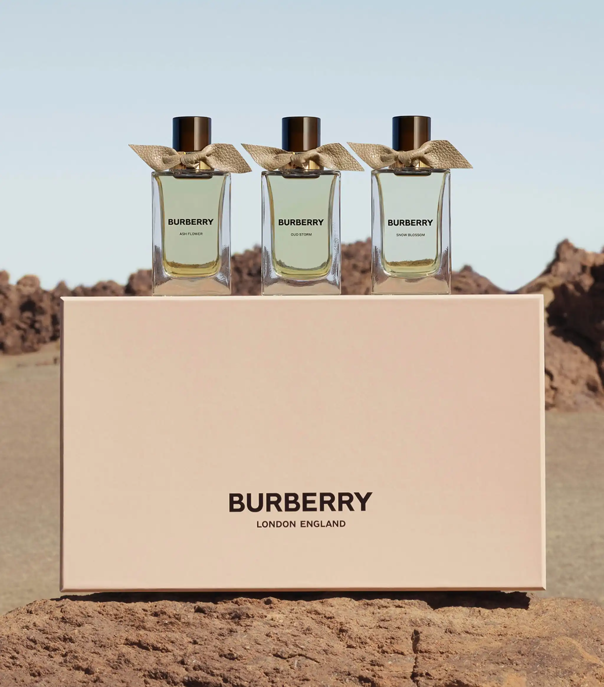 Hình 3 - Burberry Oud Storm (2023) EDP 100ml