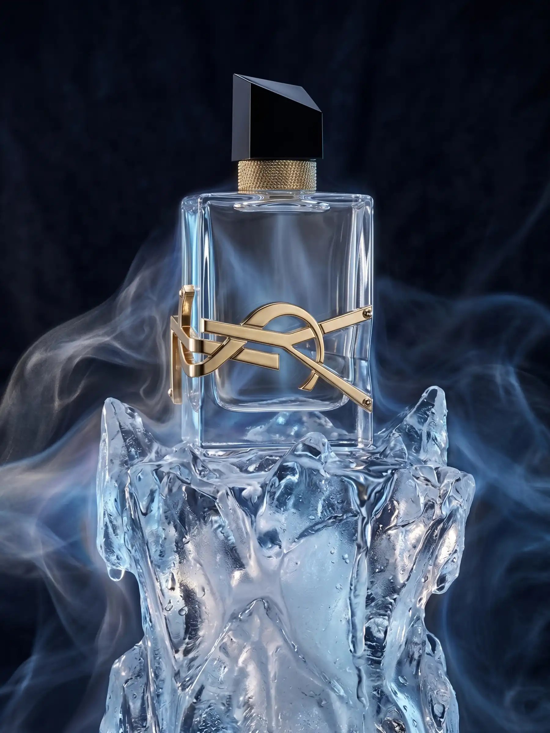 Hình 7 - Yves Saint Laurent Libre Absolu Platine (2023) Parfum 90ml