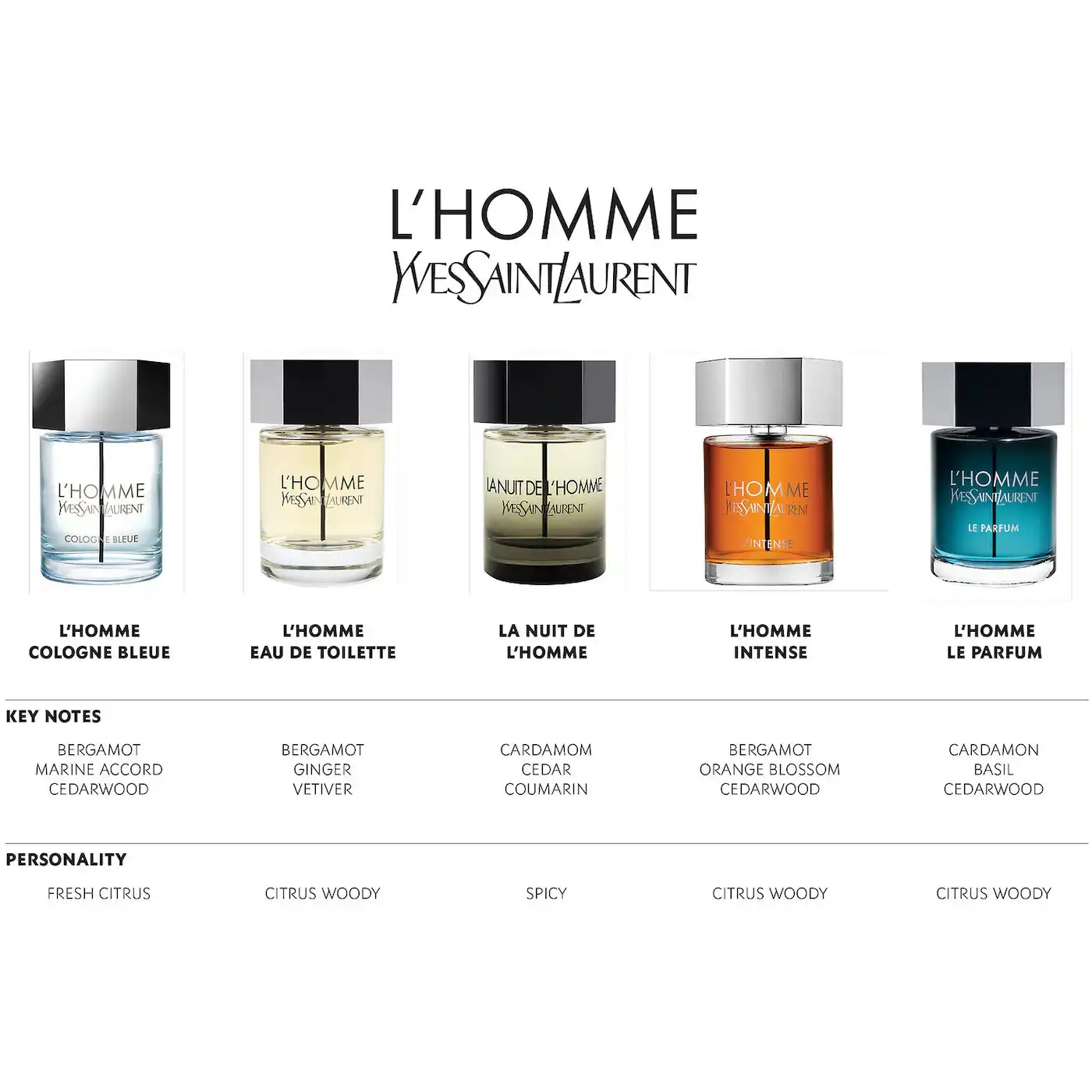 Hình 4 - Yves Saint Laurent L’Homme Le Parfum 100ml