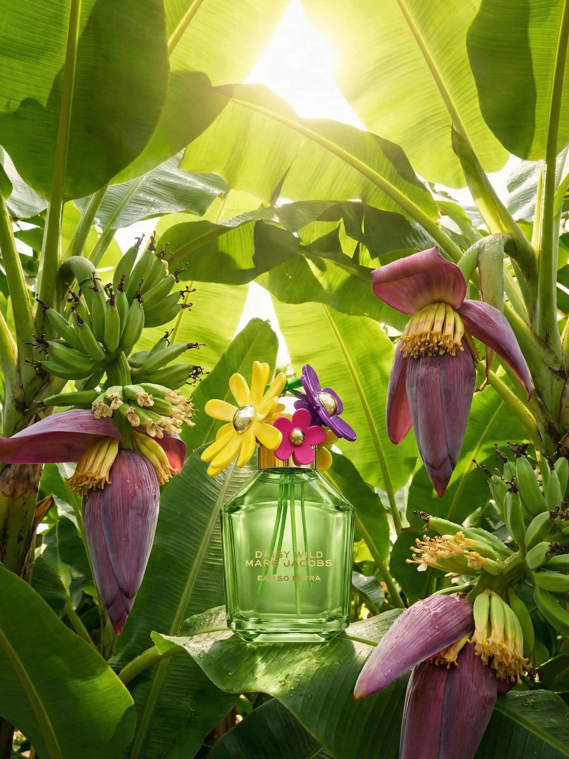 Hình 3 - Marc Jacobs Daisy Wild Eau So Extra (2026) EDP 50ml