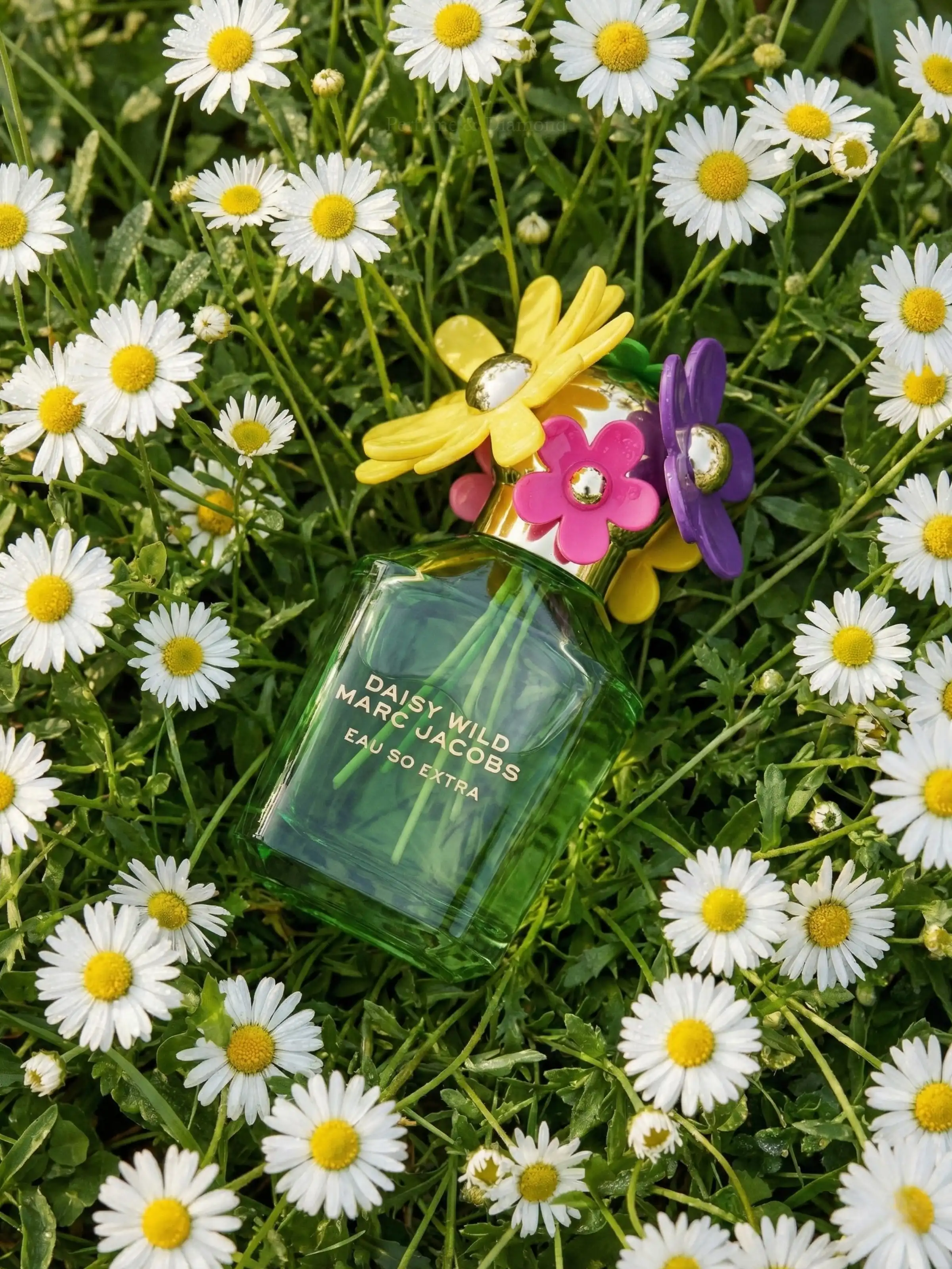 Hình 6 - Marc Jacobs Daisy Wild Eau So Extra (2026) EDP 50ml