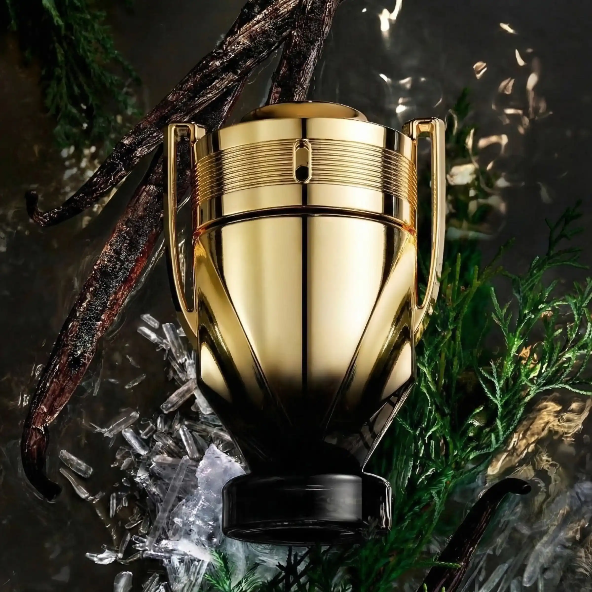 Hình 2 - Paco Rabanne Invictus Elixir (2026) Parfum 100ml