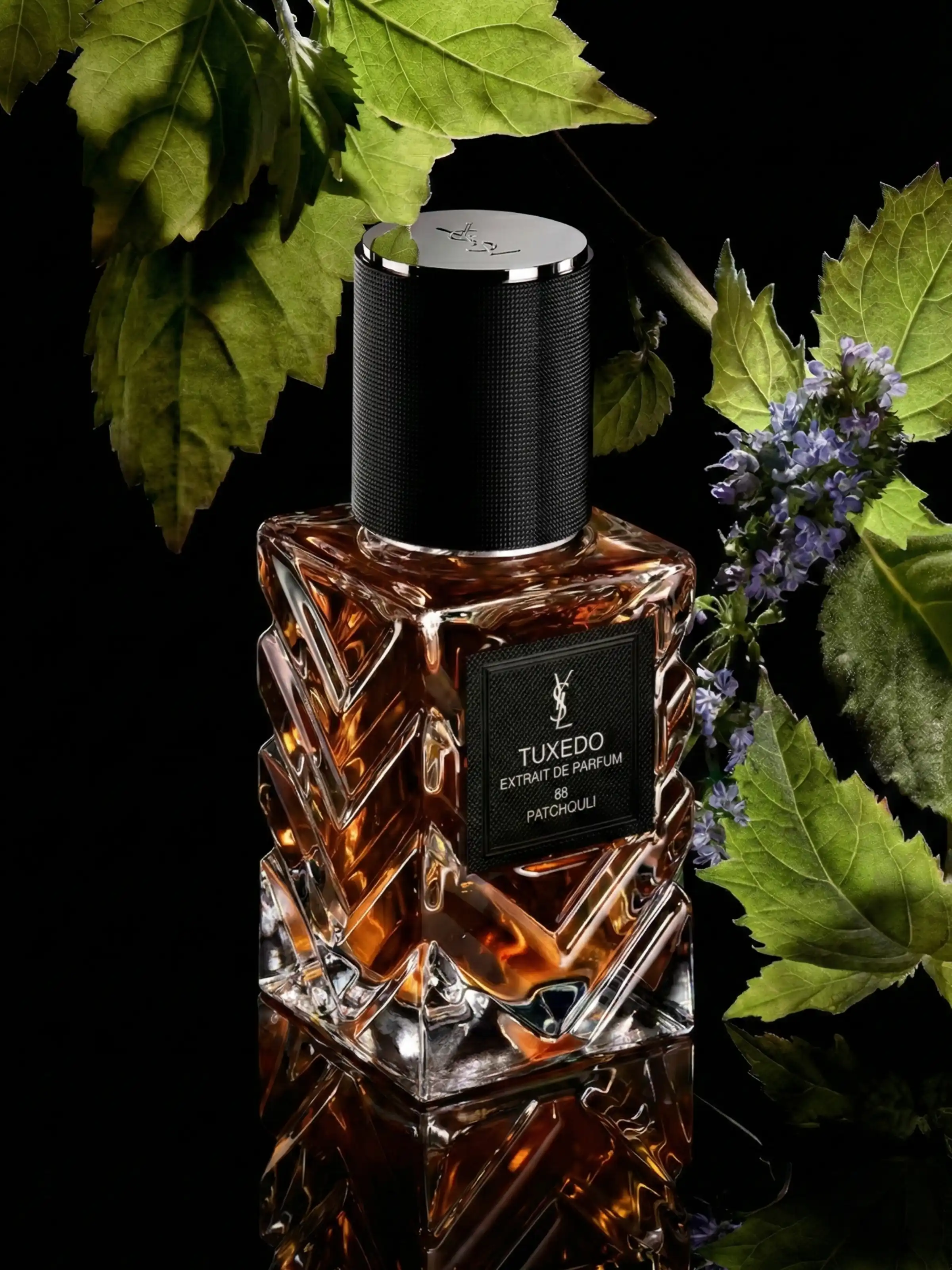 Hình 5 - Yves Saint Laurent Tuxedo 66 Patchouli (2026) Extrait de Parfum 50ml