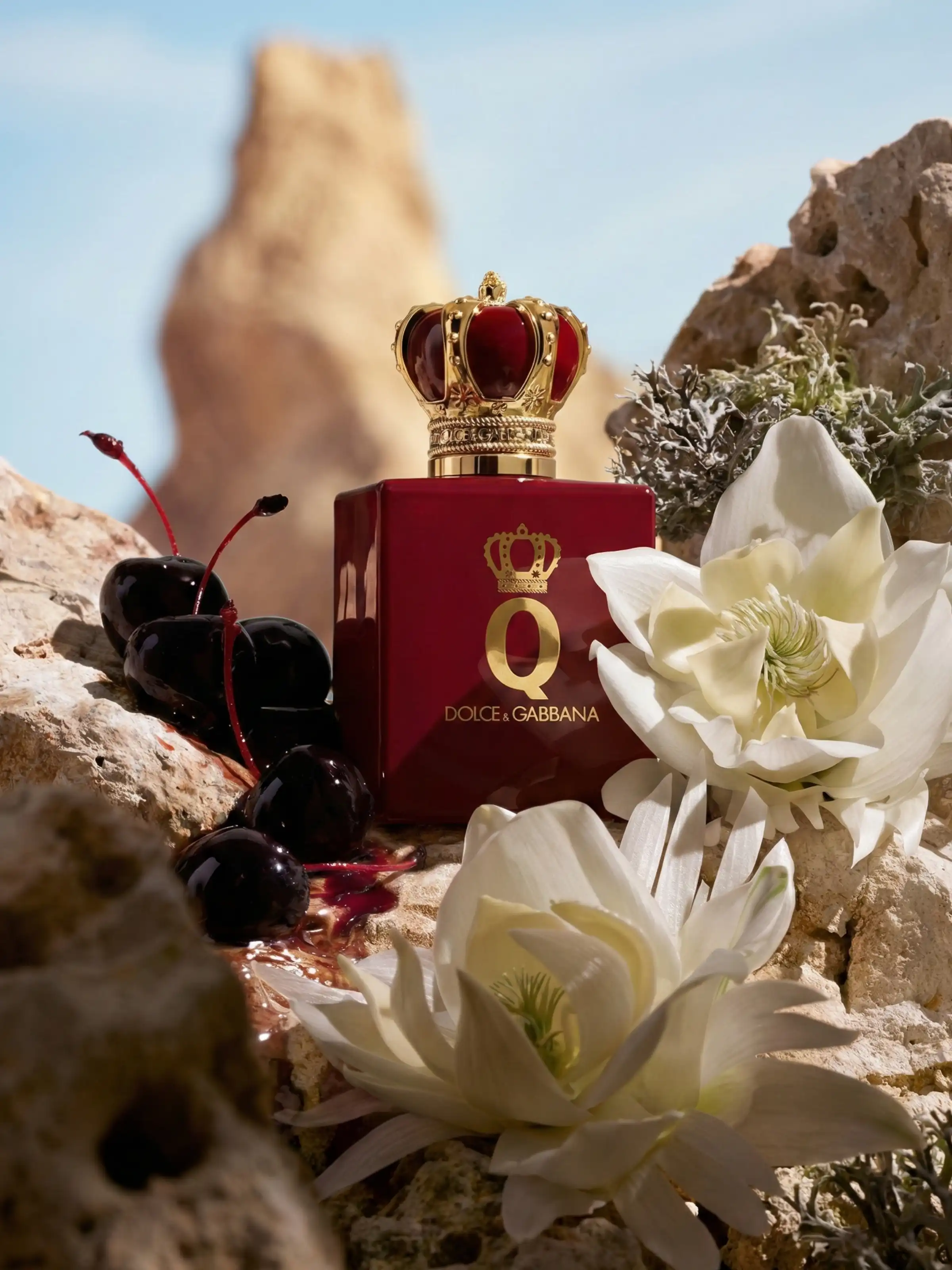 Hình 2 - Dolce & Gabbana Q Elixir (2026) Parfum 50ml